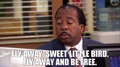 YARN | Fly away, sweet little bird. Fly away and be free. | The Office  (2005) - S04E06 Launch Party (Part 2) | Video clips by quotes | 64b08592 | 紗