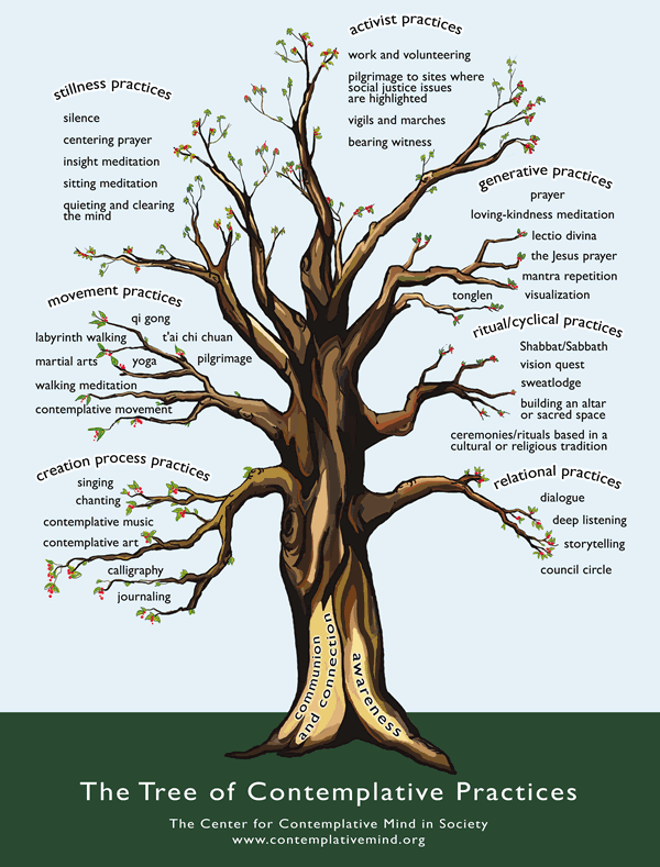 The Tree of Contemplative Practices – which ones work for you ...