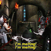 Wicked Witch Melting GIFs | Tenor