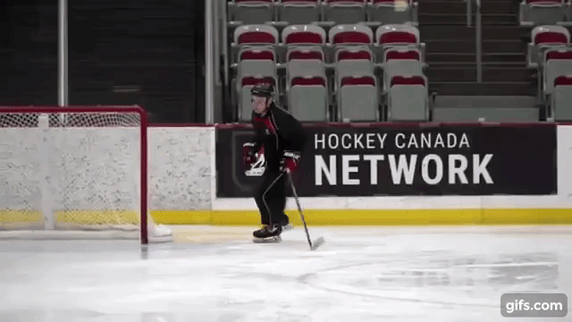 Pavel Bure & Linear Acceleration - Part 2 - The Hockey Focus