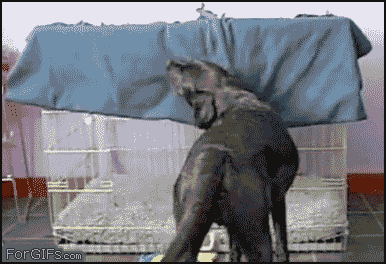 Geeky Animated Gif Monday – Sometimes I Just Want to Hide Under the Covers  – Baby Boomer Going Like Sixty