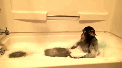 monkey bath GIF
