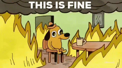 This Is Fine Its Fine GIF - This Is Fine Its Fine Everything Is Fine -  Discover & Share GIFs