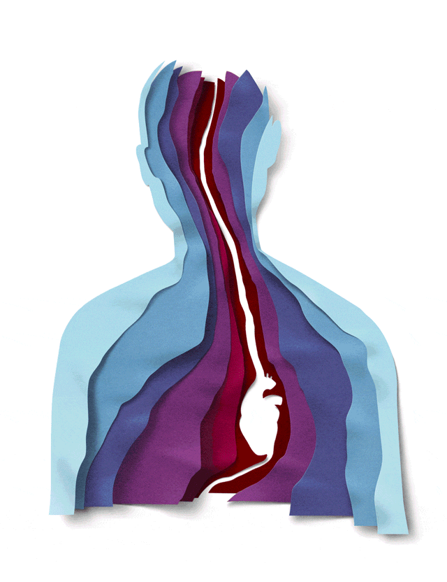 New York Times Sunday Review cover, animation for "Life After a hear Attack at Age 38"