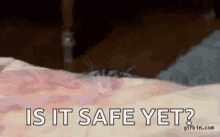 Its Safe To Come Out Now Kevin GIF - Its Safe To Come Out Now Kevin Charlie  - Discover & Share GIFs