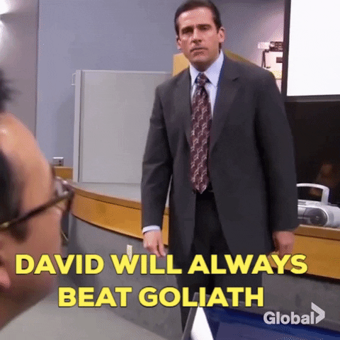 the office survivor GIF by globaltv