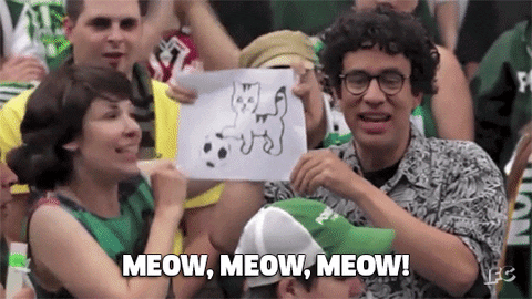 fred armisen meow GIF by IFC