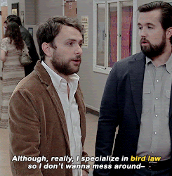 It&#39;s Always Sunny In Philadelphia — There is no such thing as bird law. Yes  there is!