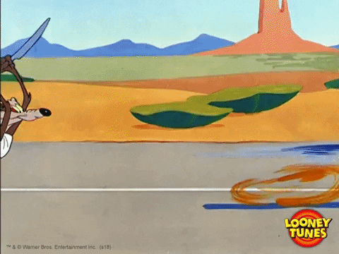 wile e. coyote running GIF by Looney Tunes