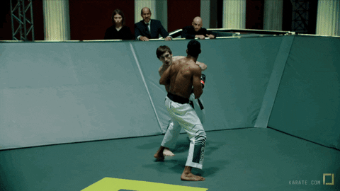 Karate Combat GIF - Find & Share on GIPHY