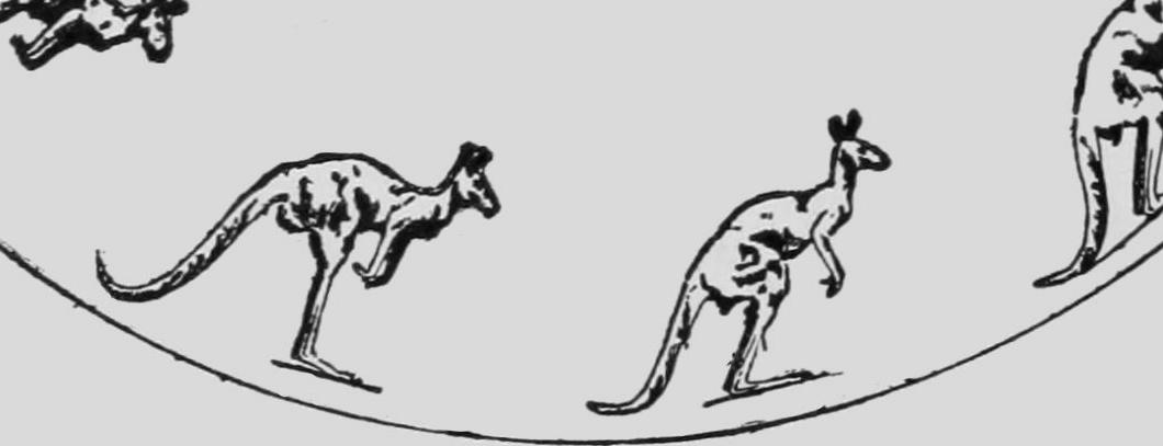 File:Descriptive Zoopraxography Kangaroo Jumping Animated 13.gif -  Wikimedia Commons