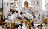 cat lady cats GIF
