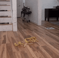 Banana Peel GIFs - Get the best GIF on GIPHY