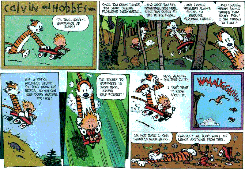 Wisdom from Calvin and Hobbes - Avenues Counseling