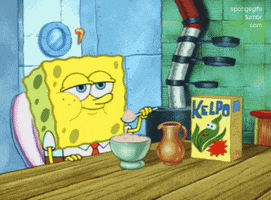 Spongebob Squarepants Eating GIF by good-morning