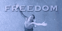 Freedom GIF - Freedom ShawshankRedemption GIFs