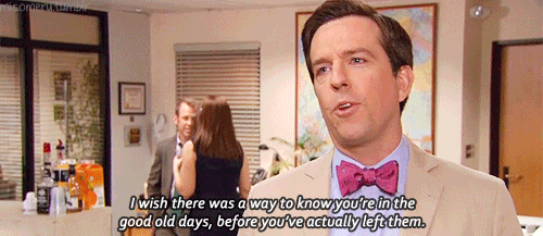 Pin by AKArika on Randomness | The office finale, Perfection quotes,  Relatable
