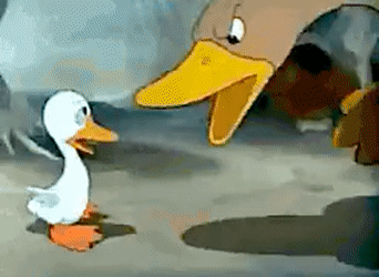 Gif from the Ugly Duckling of the Mama Duck quaking angrily at the swan, chasing him into a pool of water.