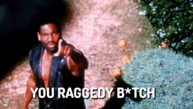 Top 30 You Raggedy Bitch GIFs | Find the best GIF on Gfycat