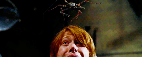 This Is Berk. — dizzeikipling: Ron Weasley vs Spiders: The...
