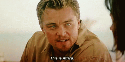 This Is Africa Leonardo Dicaprio GIF - This Is Africa Africa Leonardo  Dicaprio - Descubre & Comparte GIFs