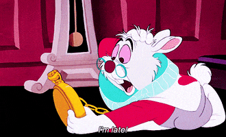 The White Rabbit GIFs - Get the best GIF on GIPHY