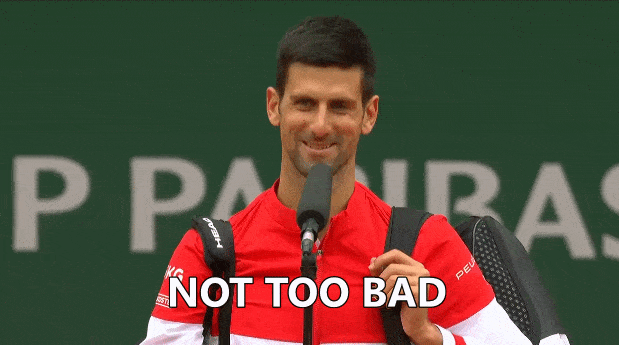 How was Djokovic's day ?