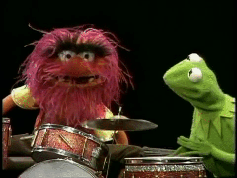 the muppets drummer gif | WiffleGif