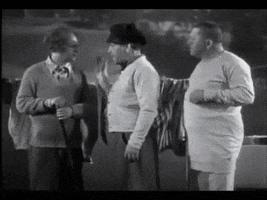 Stooges GIFs - Get the best GIF on GIPHY
