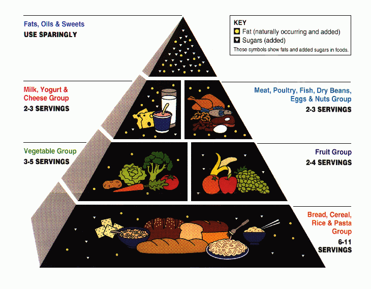 Food pyramid - Simple English Wikipedia, the free encyclopedia