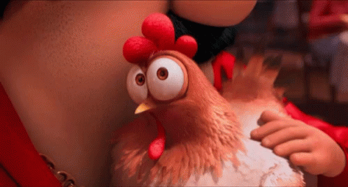 Image result for chicken staring gif
