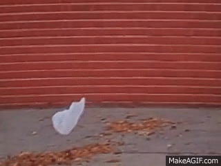 American Beauty' - Thomas Newman (from the 'plastic bag scene') on Make a  GIF