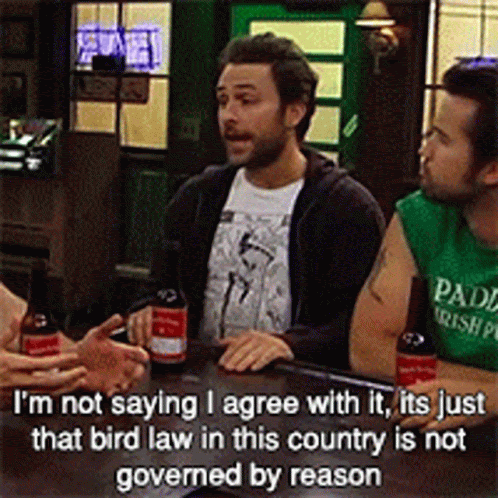 Bird Law Charlie Day GIF - Bird Law Charlie Day Kelly - Discover &amp; Share  GIFs