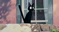 nervous kikis delivery service GIF by Maudit