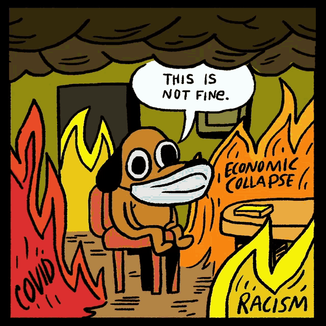 This Is Not Fine Meme Everything Is Fine GIF - ThisIsNotFineMeme EverythingIsFine ThisIsNotFineDog GIFs