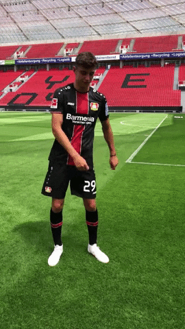 Kai Havertz GIFs - Get the best GIF on GIPHY