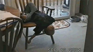 funny gif kid sleeping on kitchen chair - Dose of Funny
