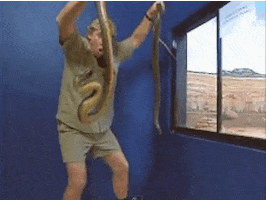 Steve Irwin GIFs - Get the best GIF on GIPHY