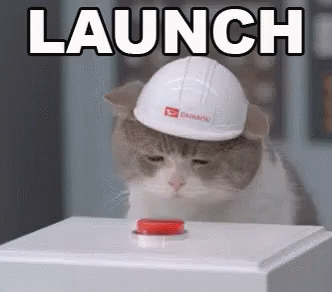 Launch GIF - Cat Launch Button GIFs