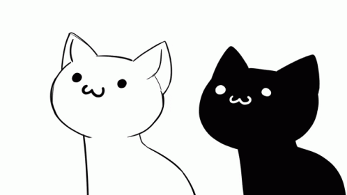 Telepurte Telepurte Cat Cheese GIF - Telepurte Telepurte Cat Cheese Cat Cheese GIFs