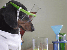 Science Experiment GIFs - Get the best GIF on GIPHY