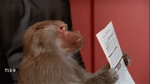 Gif of a monkey reading a newspaper