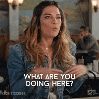What Do You Do Here GIFs - Get the best GIF on GIPHY