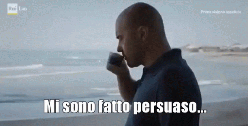 Montalbano Commissario Montalbano Salvo Montalbano Mi Sono Fatto Persuaso Ho Deciso GIF - Italian Tv Series Fictional Character Andrea Camilleri GIFs