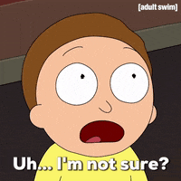 Confused Season 2 GIF by Rick and Morty