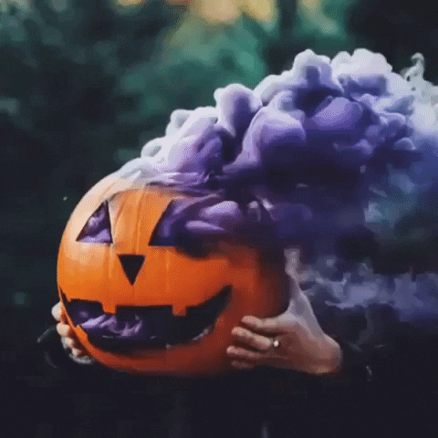 Jack O Lantern Halloween GIF by MOODMAN