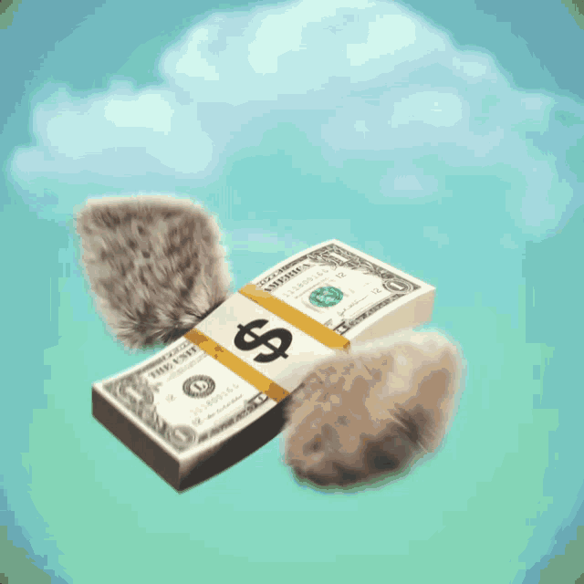 Money Cash GIF - Money Cash Hairmoji - Discover &amp; Share GIFs