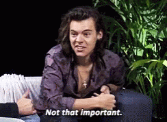 Not Important Harry Styles GIF - Not Important Harry Styles One Direction -  Discover & Share GIFs