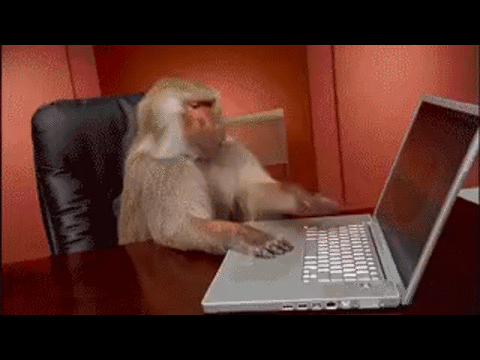 Bilder runterladen! Business Monkey