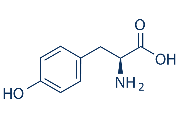 L-Tyrosine | ≥99%(HPLC) | Selleck | Others